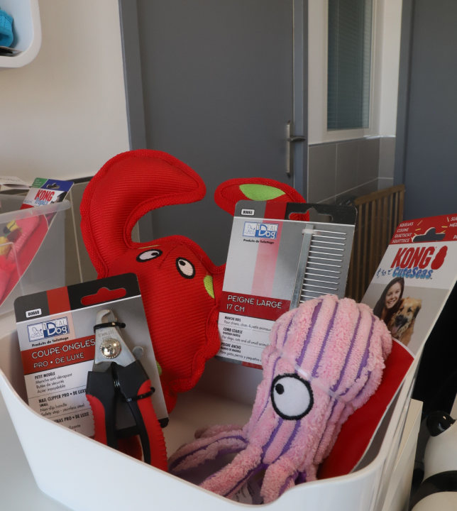 Quels produits pour le bien-être de votre animal ?