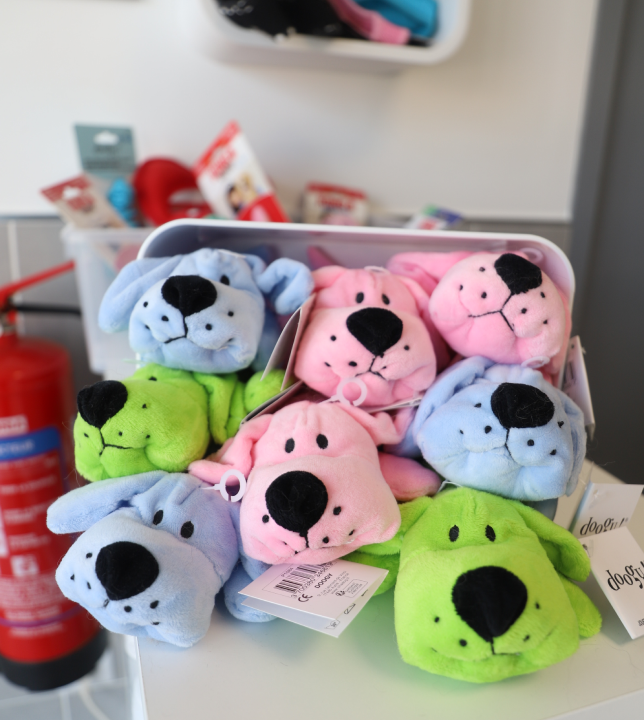 vente toilettage au salon toilettage Anilook à Beziers